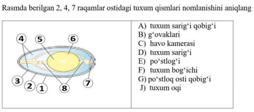 Question Image