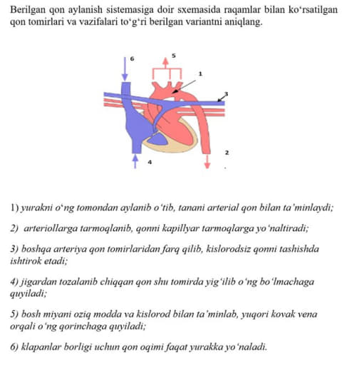 Question Image