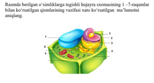 Question Image