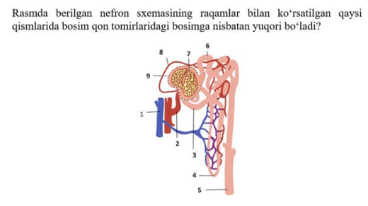 Question Image