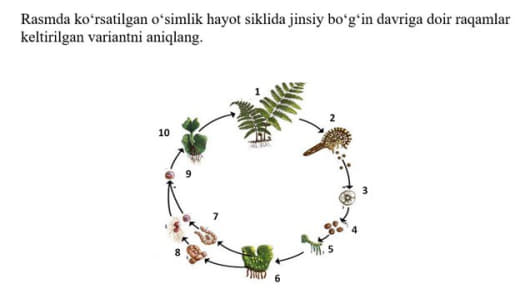 Question Image